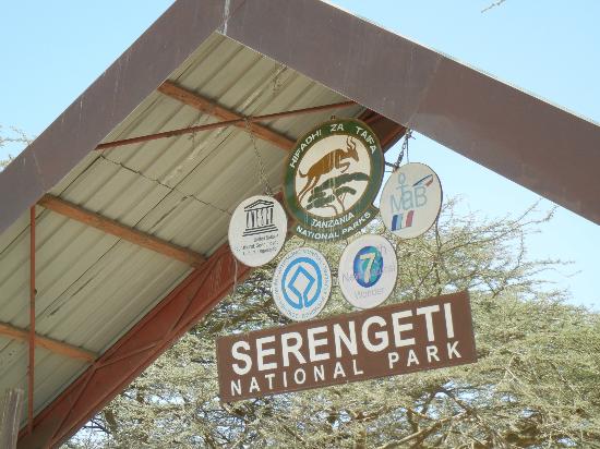  Serengeti National Park Safari