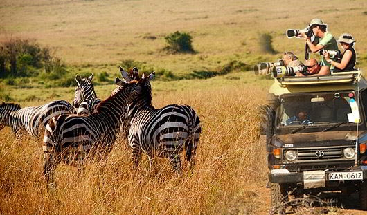 Tanzania Safari Tours Packages